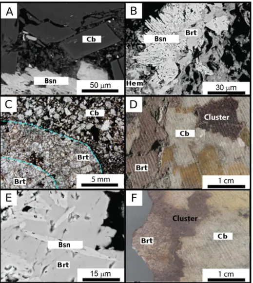 Figure 4. Selected images of the REE mineralization ordered by increasing depth: 