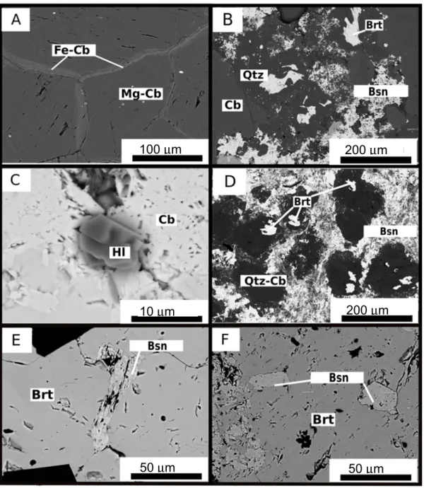 Figure 5. Selected SEM images of barite, carbonates, and halite by increasing depth: (A) Dolomite   (Mg–Cb) with ankerite (Fe–Cb) rims from a depth of 350 m; (B) Relic barite crystals showing  dissolution in quartz and calcite in a REE-fluorocarbonate matr