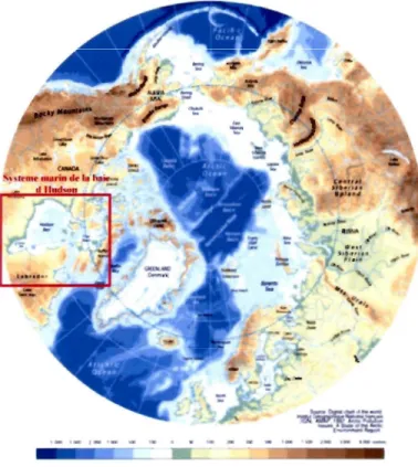 Figure  1 :  Bathymétrie  de  l'Océan  Arctique  et  localisation  de  la  zone  d'étude  le  système de  la  baie d 'Hudson