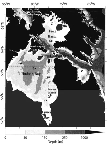 Figure 1.  Polar stereographie projection of the Hudson Bay marine system. Stns 1 to 5  have  been  used  to  extra ct  high  frequency  data  for  Figure  10