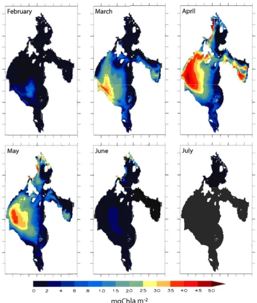 Figure  7.  Monthly  averaged  ice  algal  biomass  per  square  metre  of  sea  ice  for  the  coupled simulation from  February to  July 1997