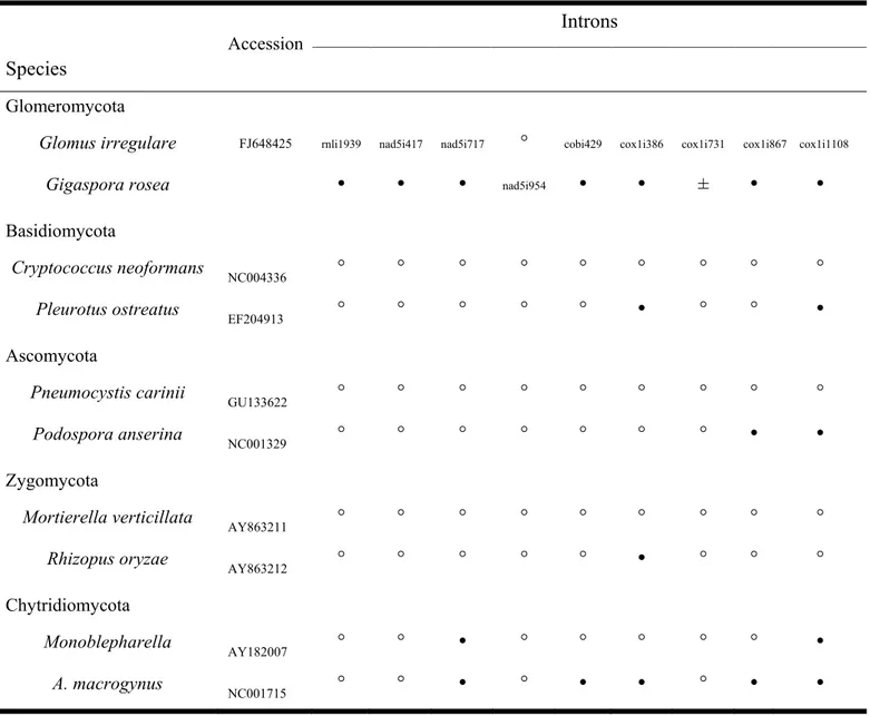 Table 2.2. Presence () or Absence (°) at Cognate Insertion Site of the Shared Introns between  Gigaspora and Glomus in Representatives of Other Fungi