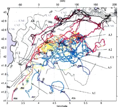 Figure  8 - Trajectoire de  bouées RAFOS  dans  le  nord-ouest de  la mer méditerranée  (de  Testor et Gascard, 2006)