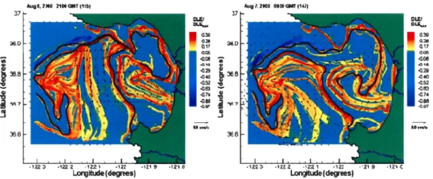 Figure 9 - Barrières au transport ou LCS (( Lagrangian coherent structures  » ) obtenues à  partir du calcul des FTLE dans la Baie de Monterey (de Coulliette et al., 2007)