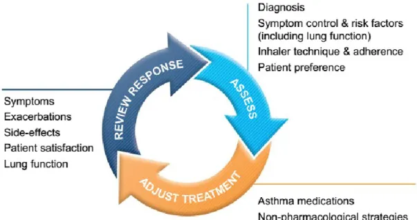 Figure 2.3.2 The control-based asthma management cycle (GINA 2015) 