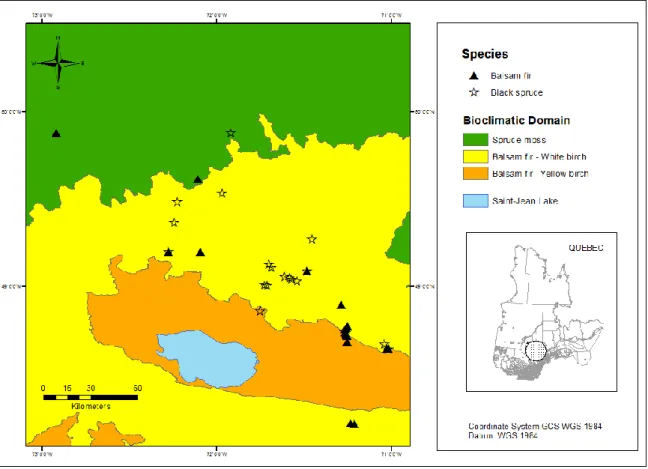 Figure 1 - Study site location in Saguenay, Lake Saint-Jean area, Quebec, Canada  1.2.2  TREE SELECTION 