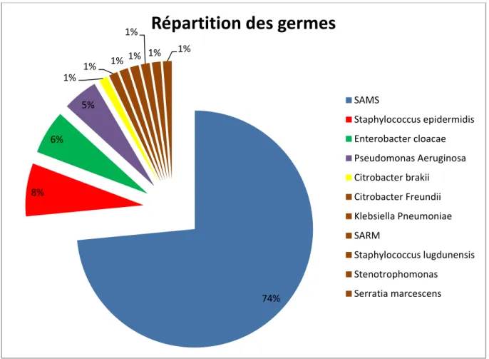 Graphique 3 : Répartition des bactéries dans les infections précoces   74% 8% 6% 5% 1% 1% 1%  1% 1% 1% 1% 