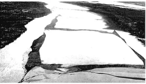 Figure 1.7:  Fissures perpendiculaires et parallèles du couvert de glace à la débâcle  Photo: ©S.Beltaos 