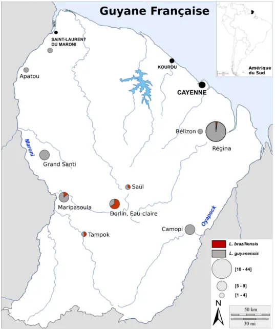 Figure 2. Carte de la Guyane française avec les lieux suspectés de contamination (N=79 avec le lieu déclaré).