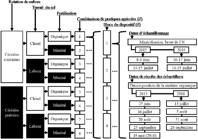 Figure 1. Facteurs, combinaisons de pratiques agricoles, blocs et dates d’échantillonnages