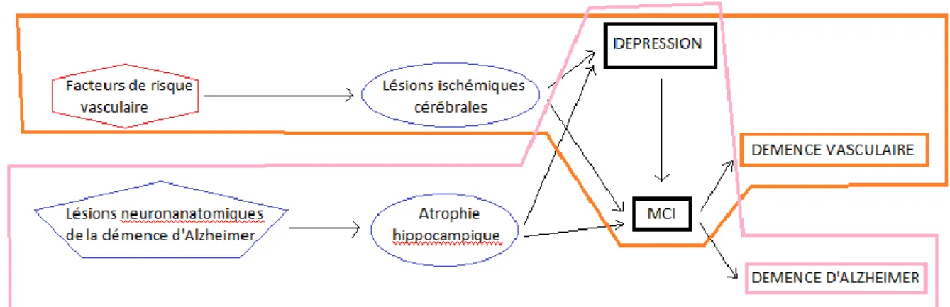 Figure 2 : Hypothèses étiopathogéniques du lien entre dépression à début tardif et démence 