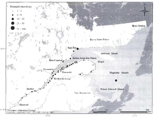 Figure  2.3  Dis tribution of  seal strandin g events  in  the Es tuary a nd  the  Gulf  of St