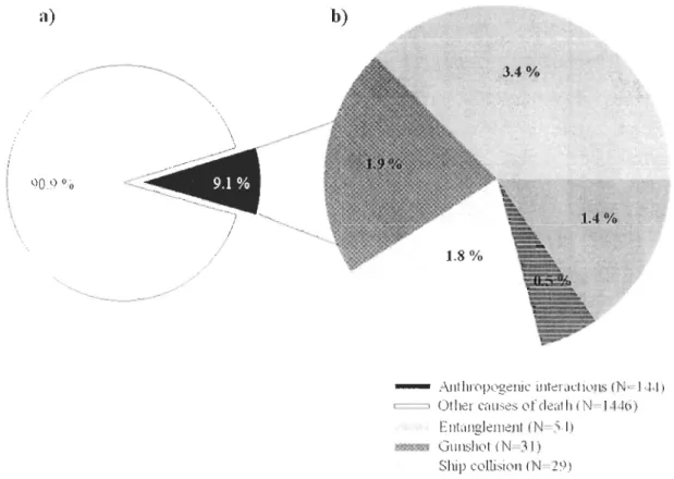 Figure  3.2 a) Proportion and  b) causes of  letha l anthropogen ic  in cidences  on m arine  mamm a ls  in  Quebec (1994 to  2008)