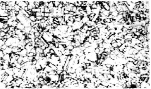 Figure  11  Microstructure en  coupe transversale  du C694 sans TT (1 OOX) 