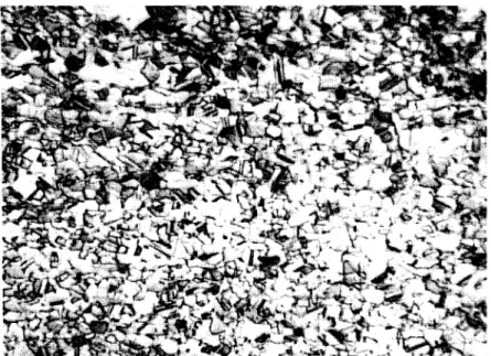 Figure  13  Microstructure en coupe transversale du C642 A sans TT (lOOX) 