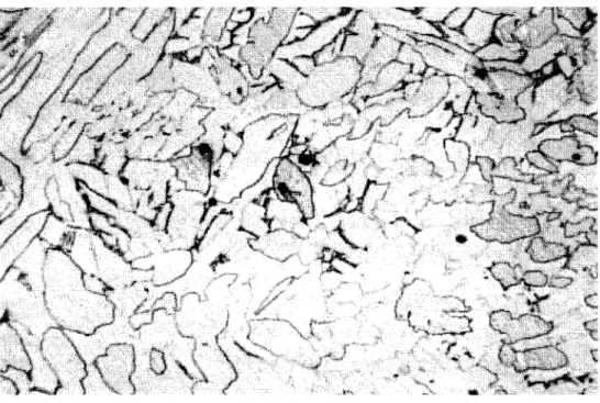 Figure  15  Microstructure  en  coupe  transversale  du C642 C sans TT (200X) 