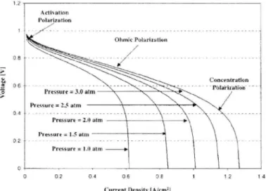 Figure 2  Fuel  cell  polarization curves. 