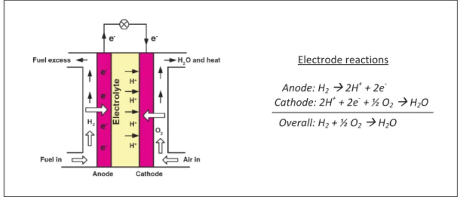 Figure 3.1 shows the fuel cell operating principle along with electro-chemical reactions at electrodes (Xin et al