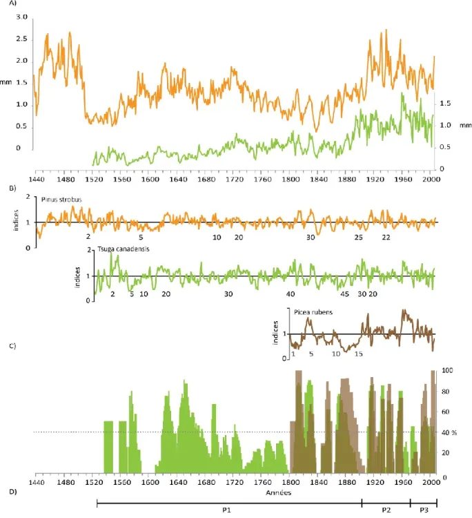 Figure 2.3. A) Courbes de la croissance radiale moyenne (mm), du pin blanc (Pinus strobus, en orange)  et  de  la  pruche  (Tsuga  canadensis,  en  vert)  dans  le  Parc  national  de  la  Mauricie