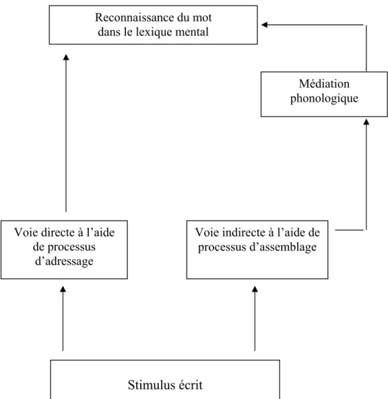 Figure 1.1 Les voies d’accès au lexique mental  Le modèle à deux voies (Coltheart, 1978) 