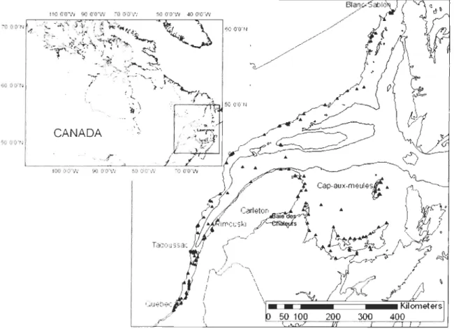 Figure  1.  Location of buoys sampled in 2005 and 2007 in the St. Lawrence system. 