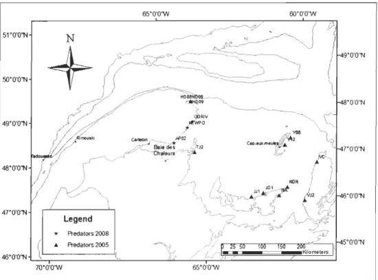 Figure 8. Presence of seastar A,  vulgaris on navigation buoys  in 2005 and 2008 . 