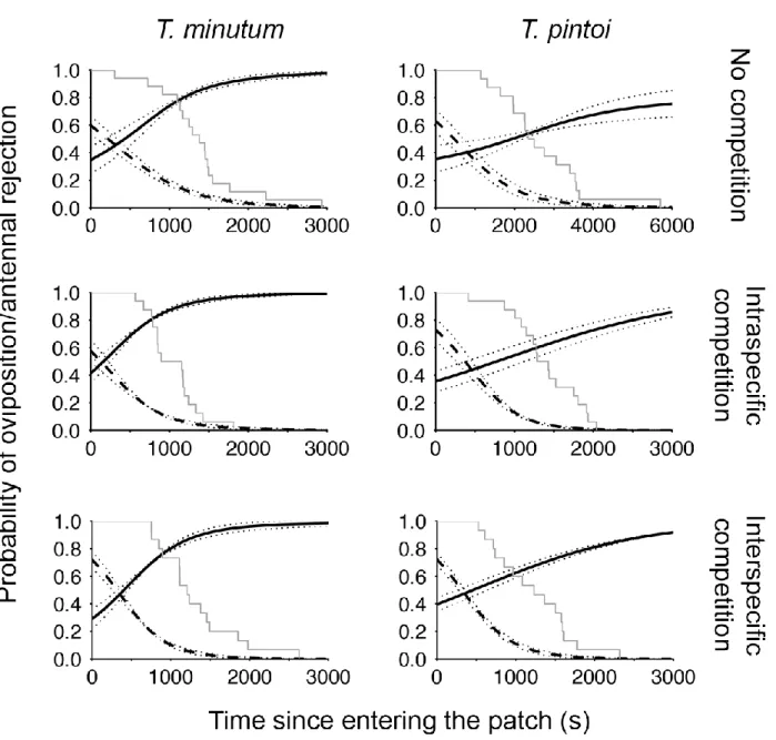 Figure 5: Logistic regression models projecting the probability of oviposition (dashed) or of  antennal rejection (solid black) upon encountering an Ephestia kuehniella egg through time for  Trichogramma  pintoi  and  T