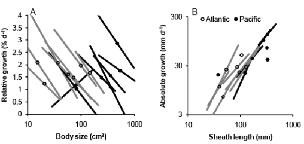 Figure 3. Form-function relationships of eelgrass (Zostera marina) in summer 2011 across 14 630 