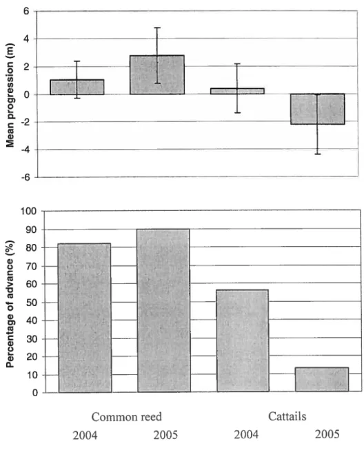 figure 4. Mean progression (+ S. D.) and percentage of advance for common reed and cattail in the Parc national des Iles-de-Boucherville freshwater marsh in 2004 and 2005.