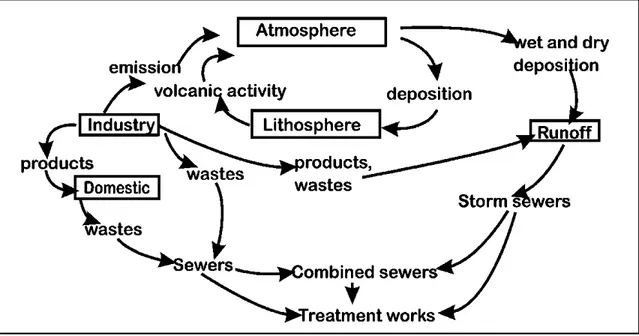 Figure 1.1 Heavy metal transport in the environment  From Mulligan et al. ( 2001 a , p