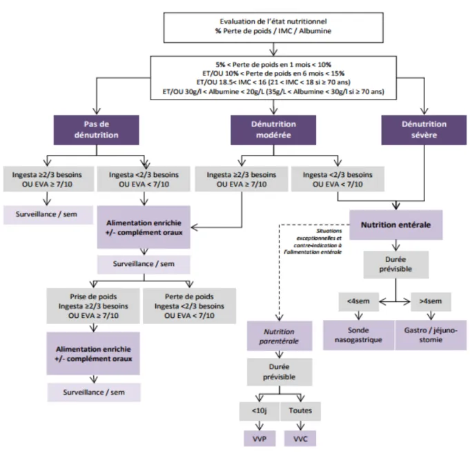 Figure 2. Algorithme décisionnel pour la prise en charge d’une dénutrition (Référentiel soins  de support et nutrition 2019 Rhône-Alpes Auvergne en oncologie thoracique) 