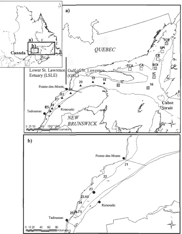 Figure 2.  a)  Study area showing the location of the  17  sampling stations in 2005  (.) and  2006  (D),  with infauna and  environmental  data