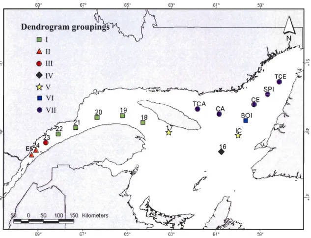 Figure 4 . Map  of the Lower St.  Lawrence  Estuary (LSLE) and Gulf of St. Lawrence (GSL)  show ing  the  locations  of 17  sa mpling  stations  and  their  classification  into  7  group s  (I  to  VII), following a cluster analysis of species density dat
