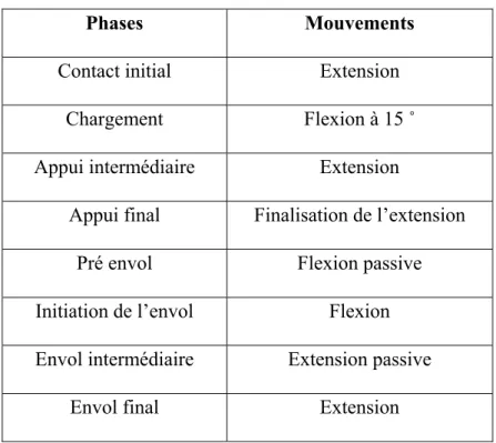 Tableau 2.2   Les différents mouvements de flexion-extension   du genou durant un CM normal 
