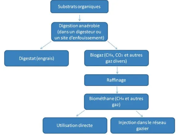 Figure 2.1 Processus de production du biométhane 