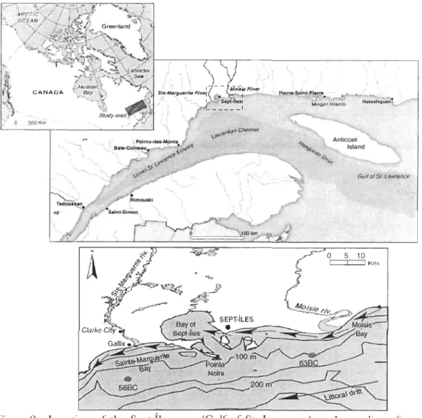 Figure 2:  Location  or  the  Sept-Îles  area  (Gull'  of St.  Lawrence),  and  sampling  or cores  56BC  and  63BC 