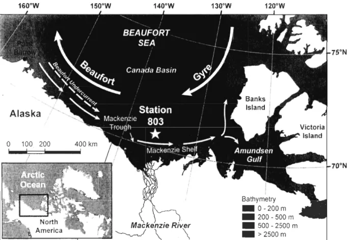 Fig.  1.  Study  area,  located  in  the  southeastern  Beaufort  Sea.  Station  803  lies  at  218  m  depth on the Mackenzie Slope, at the edge of the Mackenzie plume influence (dashed  black  line)