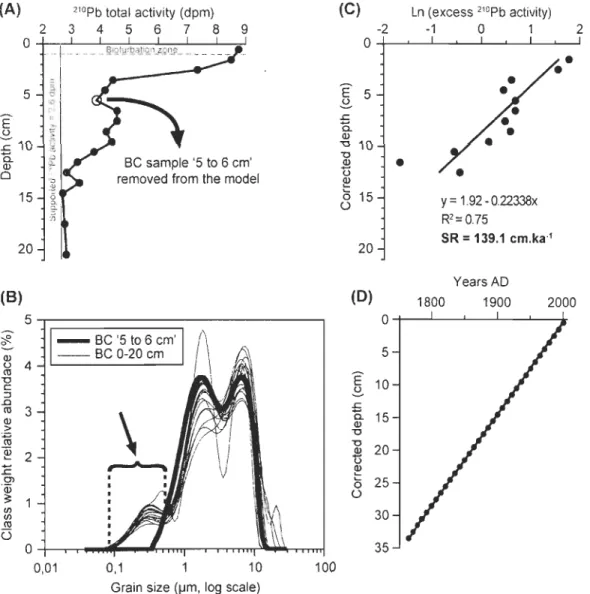 Fig.  3.  Boxcore  SR  determination  from  210 Pb  data.  (A)  210 Pb  total  actlvlty  (dpm: 