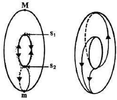 Figure 3.3 – On peut voir sur cette figure ` a gauche le Tore muni du gradient de sa hauteur
