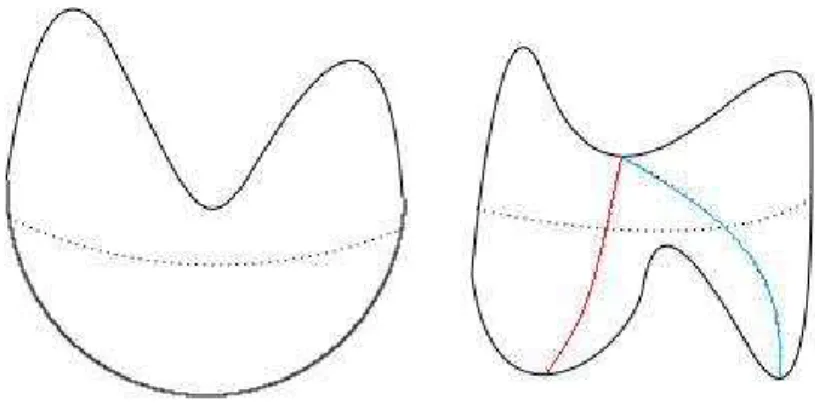 Figure 3.5 – On peut voir dans cette figure que la sph`ere peut poss´eder plus de deux points critiques