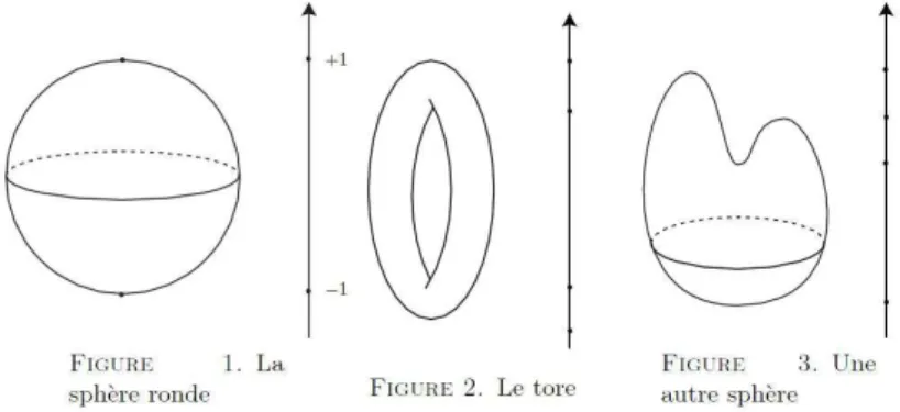 Figure 1.1 – Trois surfaces sont repr´esent´ees sur cette figure. La Sph`ere S 2 , le Tore T 2 , et une sph`ere l´eg`erement d´eform´ee [2]