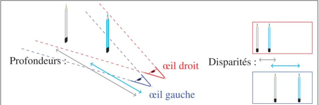 Figure 1.1 Principe de la vision binoculaire