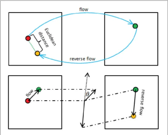 Figure 1.7 Illustration de l’incohérence avant-arrière du ﬂot optique