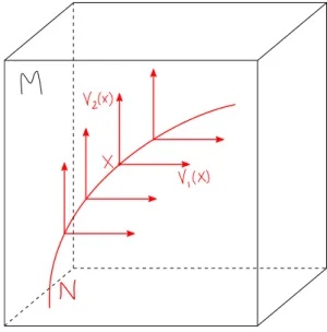 Figure 1.2. Une sous-variété framée