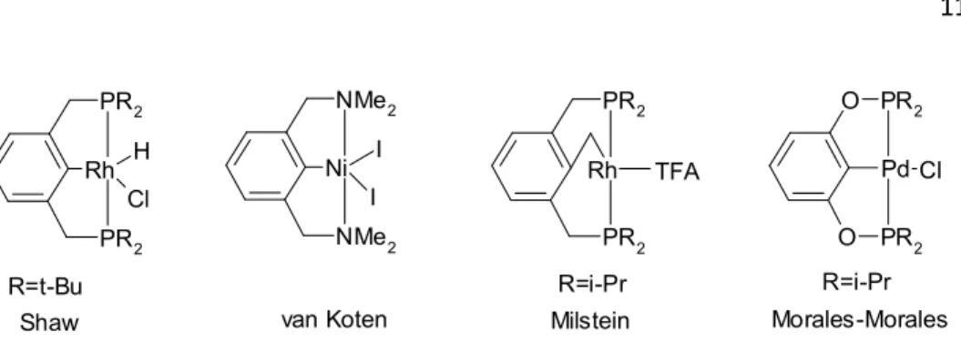 Fig. I-12 : Exemples de complexes pinceurs 