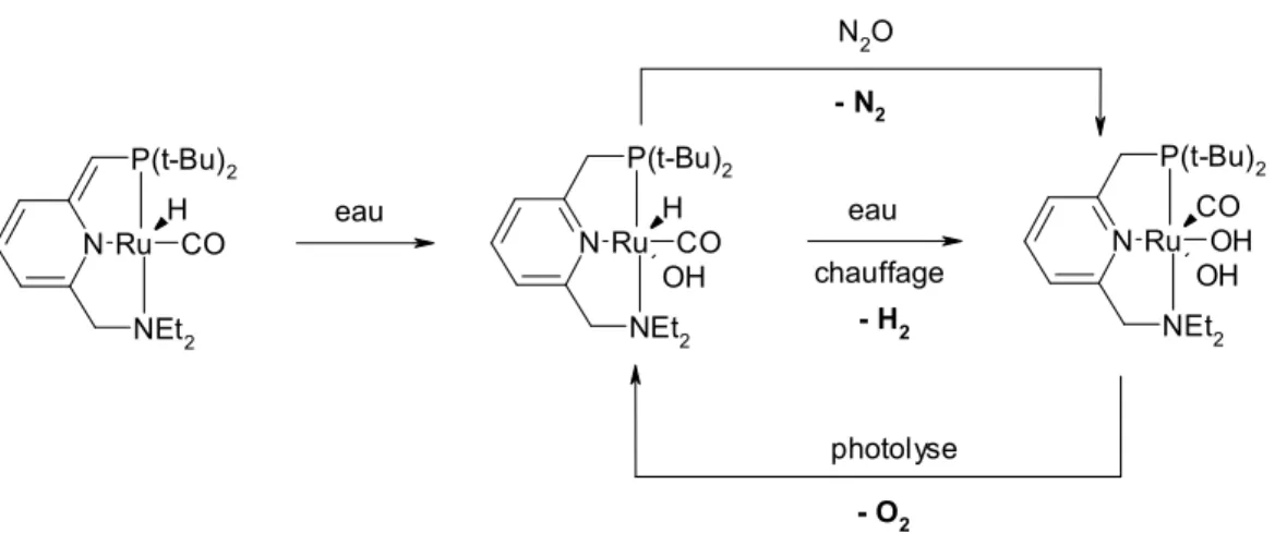 Fig. I-18 : Formation de dihydrogène et de dioxygène à partir de l’eau 