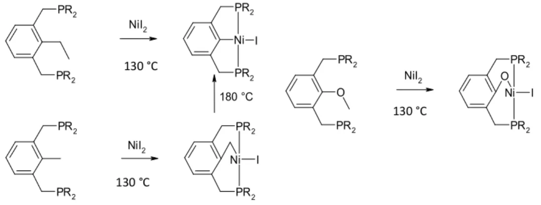 Fig. I-26 : Activation des liens C-C, C-H et C-O par le nickel 