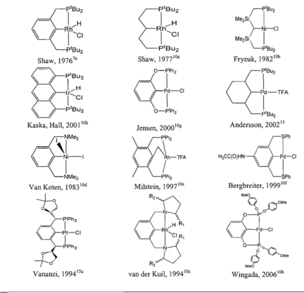 Tableau 1.1: Exemples des différents types de complexes pinceurs. 