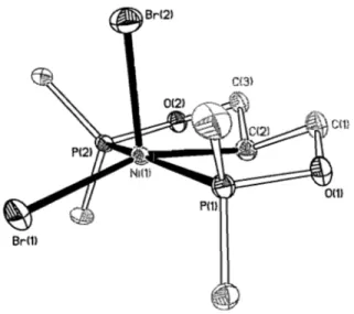 Figure 2.3:  ORTEP diagram for 3 (POCsp30P)NiBr2 complex. 