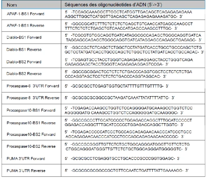 Tableau  1.  Séquence  des  différents  oligonucléotides  d’ADN  utilisés  pour  le  clonage  moléculaire  des  cibles  de  miR-TAR-5p/3p